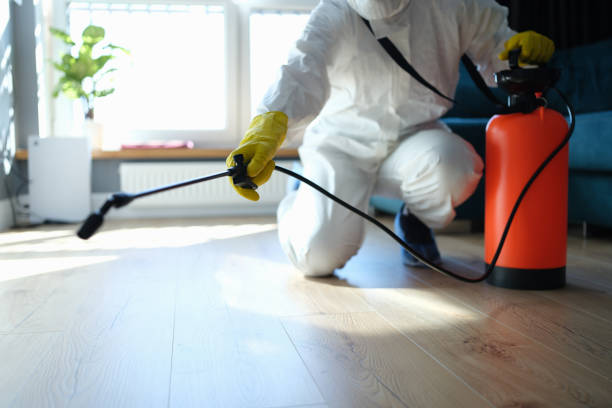 Reliable Infectious Disease Decontamination contractor in Virginia, IL by Trauma Clean Pros